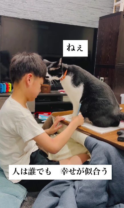 宿題の邪魔をする猫
