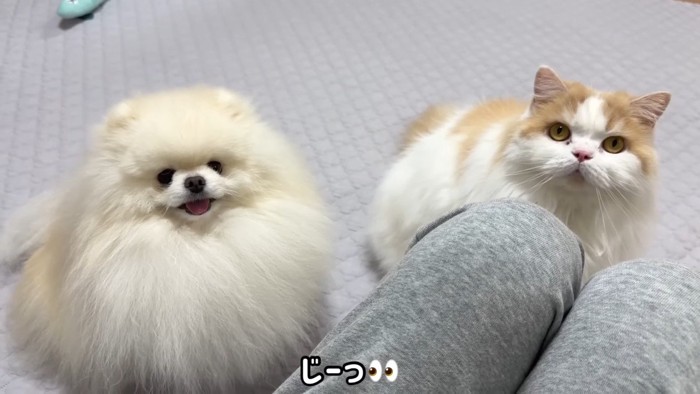 じーっ