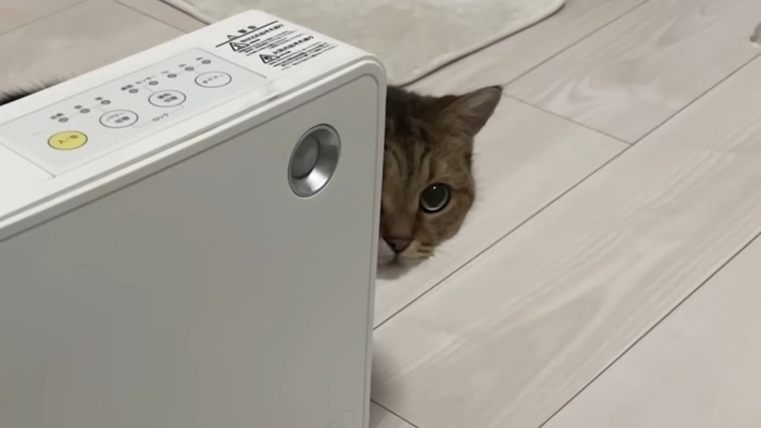 ヒーターの陰から