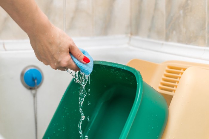 猫トイレを洗う