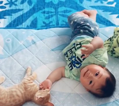 前足を前に出しながら赤ちゃんの親指を咥える猫