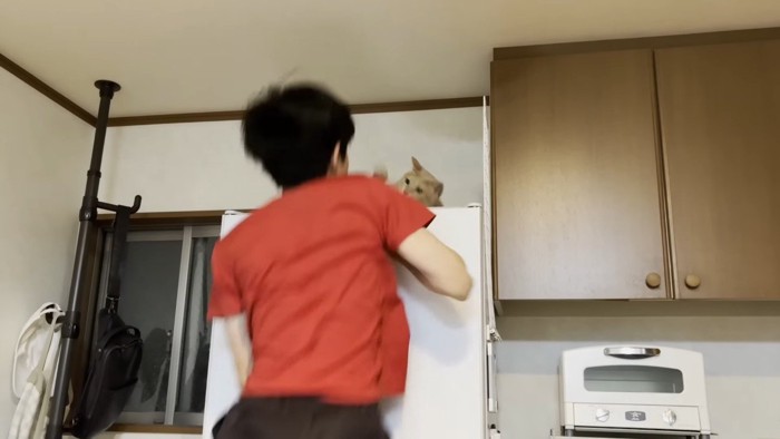 跳ぶ息子さん