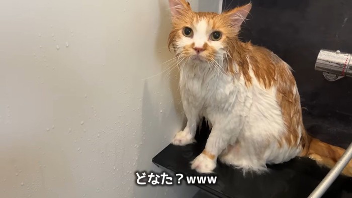 どなた?