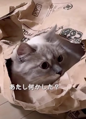 「あたし何かした？」