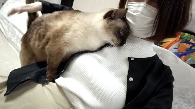 飼い主さんの顔にすり寄るモフィくん