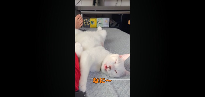 なに〜