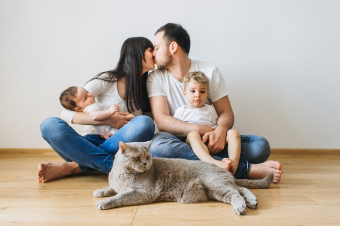 灰色猫、キスする夫婦と子ども