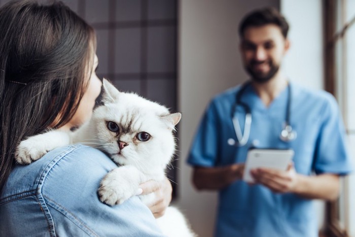 獣医師と話をする猫を抱いた飼い主