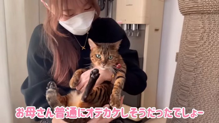 抱っこされる猫