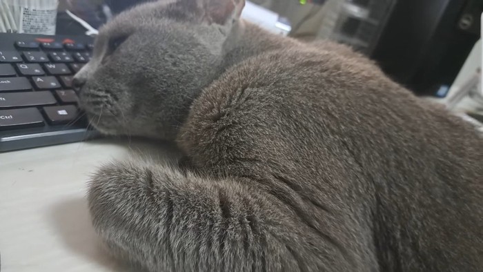 肩のアップ