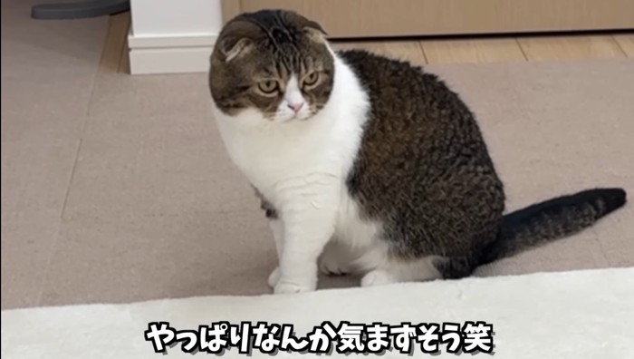 気まずそう