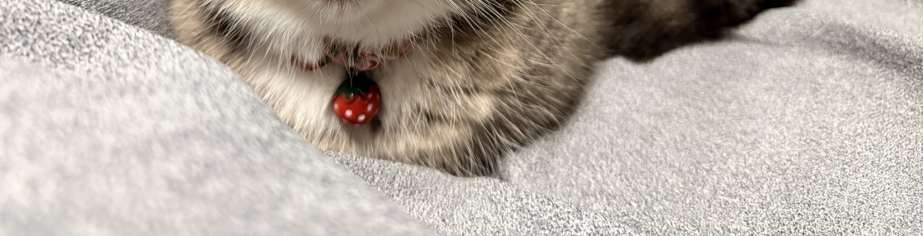 猫の手