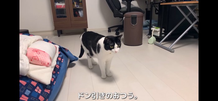 見てる