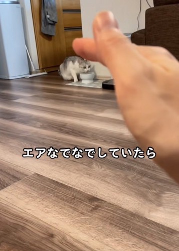 猫をエアなでなでする