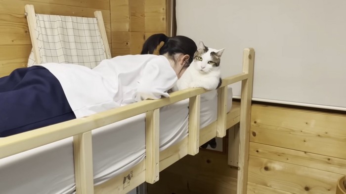 猫に顔を埋める女の子とこちらを見る猫