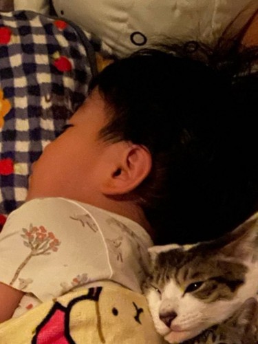 ぐっすり眠る4歳児の背に寄り添う猫