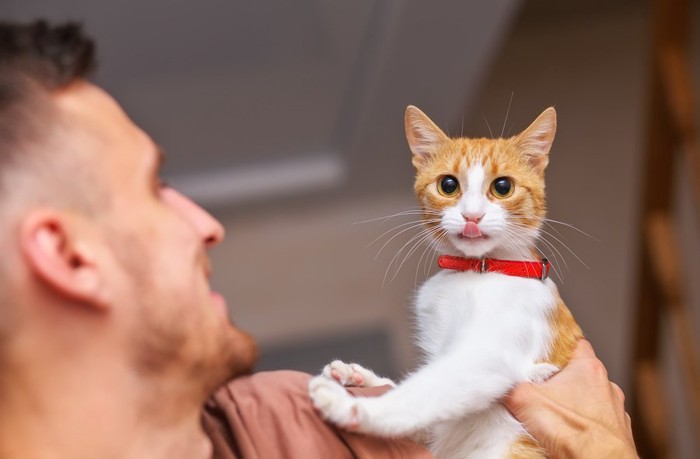 子猫を抱き上げる男性