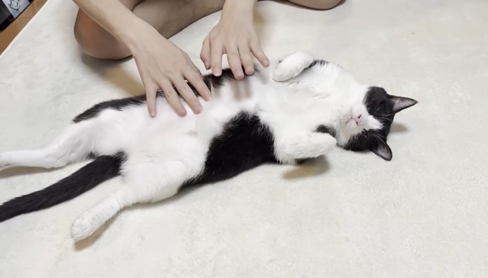 お腹ポンポン