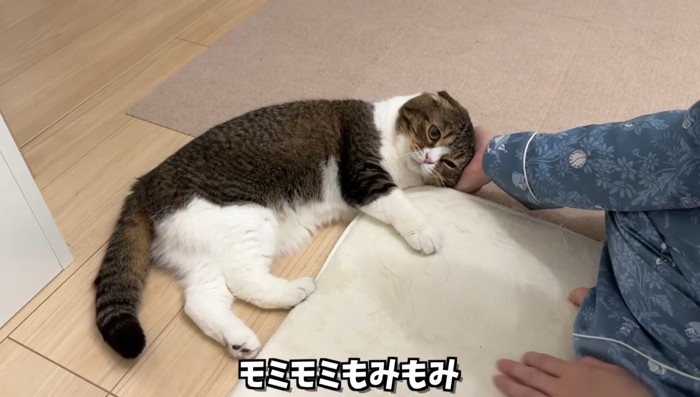 モミモミ