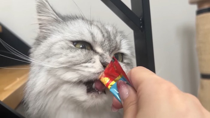 おやつ