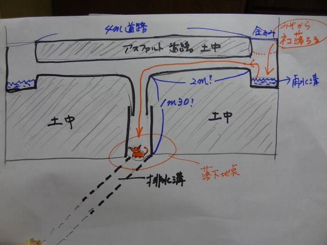 排水溝図