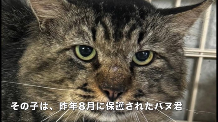 テロップ「その子は~」
