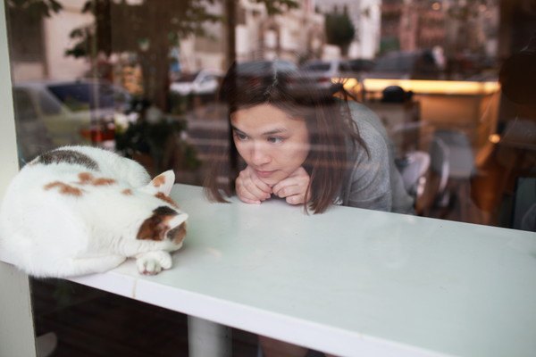 女性が猫と見つめ合う