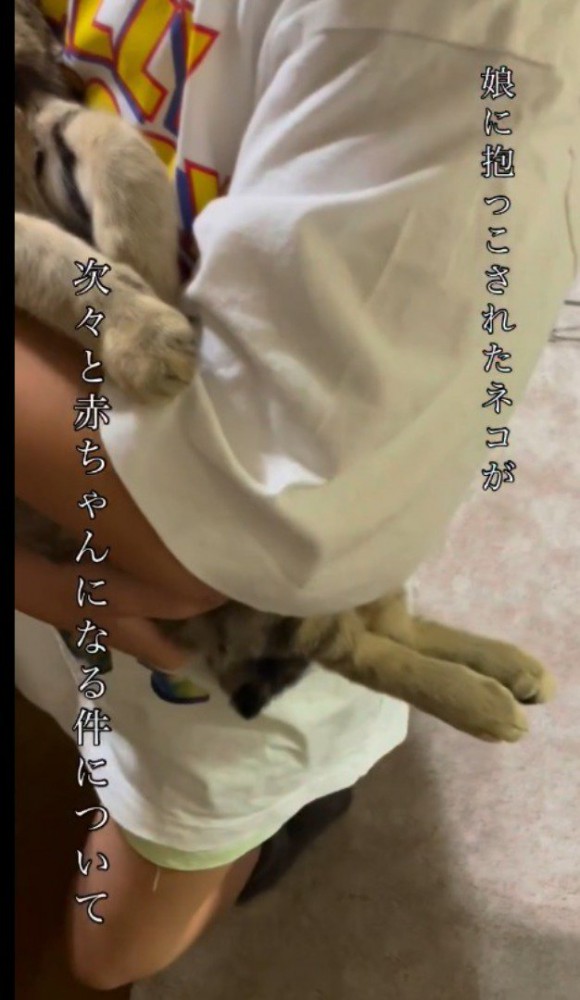女の子に抱っこされて脱力しているキジトラ猫の足