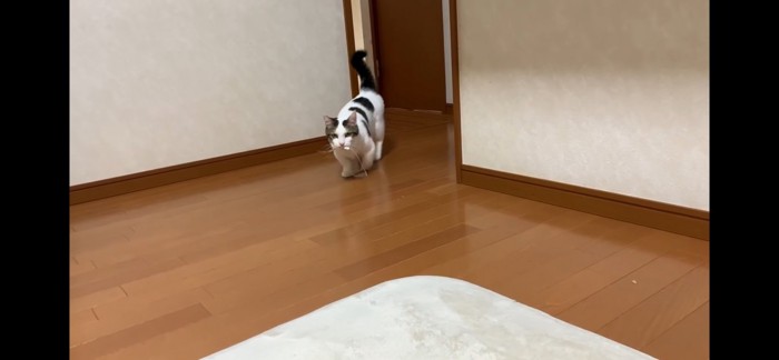 取ってくる