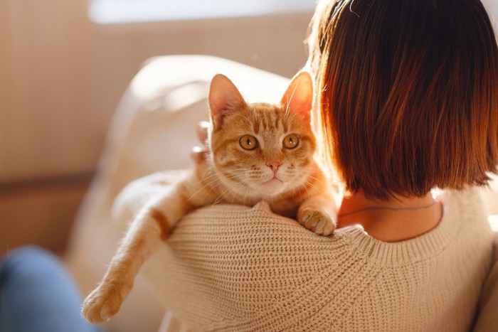 茶トラ猫を抱っこしている女性