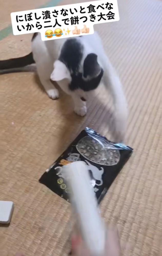 猫パンチで叩く