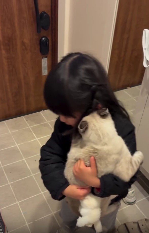 猫を抱っこする女の子