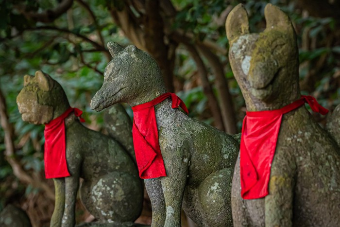 高山稲荷神社の猫像