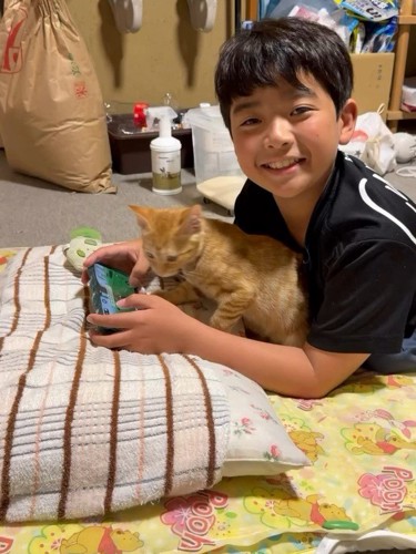 男の子の腕の中から出てくる猫