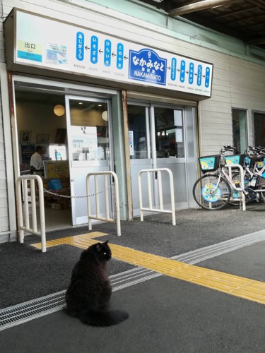 なかみなと駅とおさむ