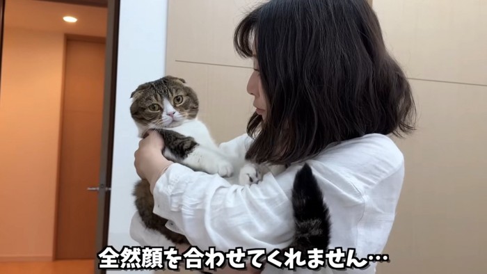 抱っこされる猫