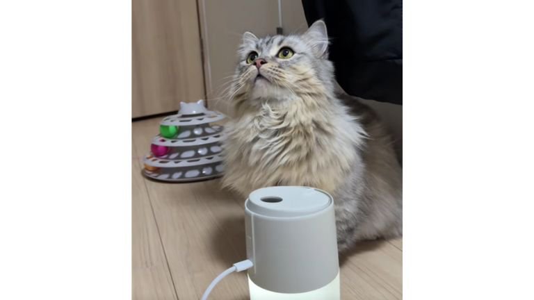 加湿器と猫