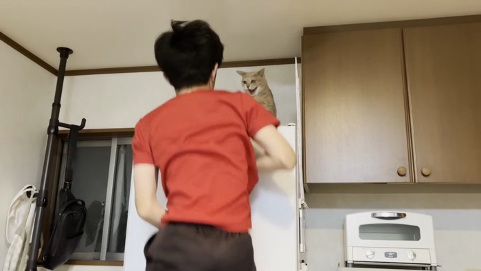 シャー！