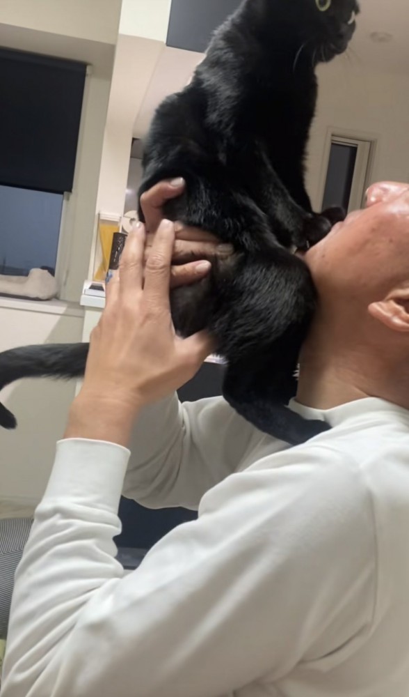 抱っこされる猫の写真3