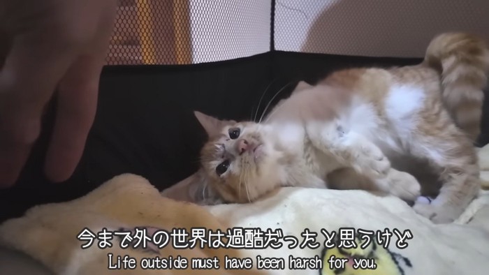 転がり中