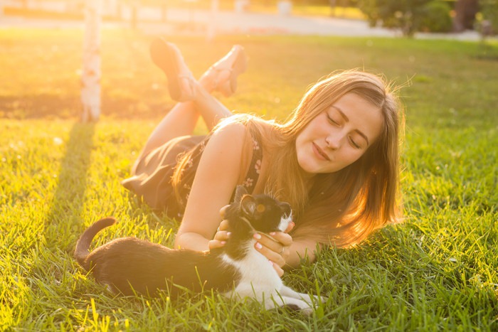 女性に撫でられる猫