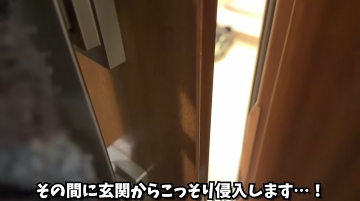 玄関から入る飼い主