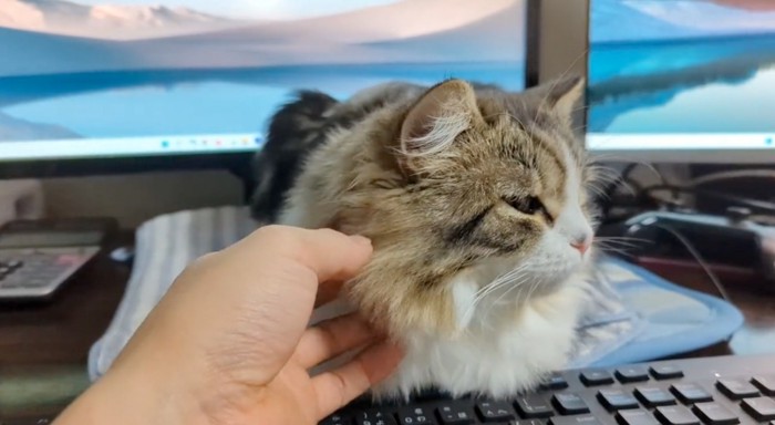 首元を撫でる