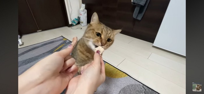 食べる