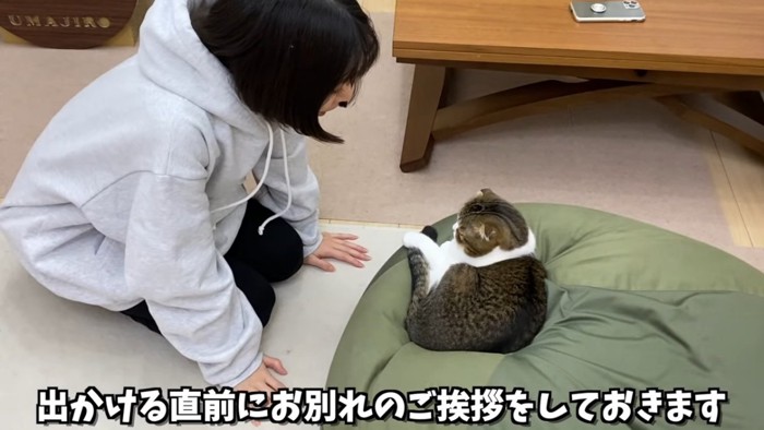 座る人と猫