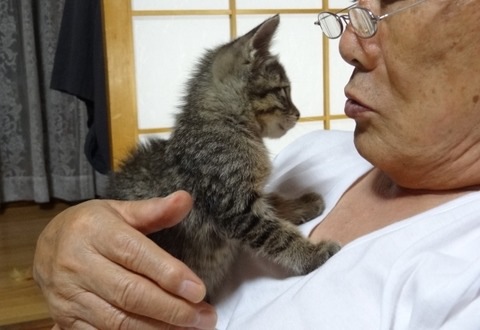 ココちゃんとお父さん