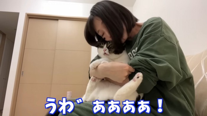 頬ずりされる猫