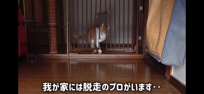 こじ開ける