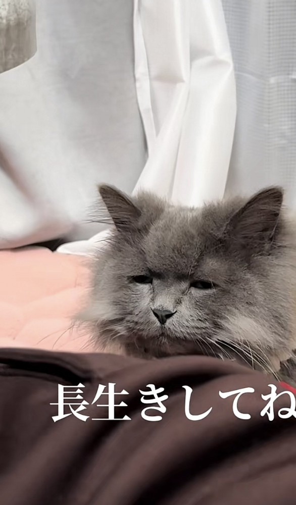 「長生きしてね」のテロップ写真2