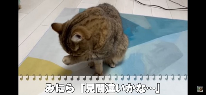 目をこする